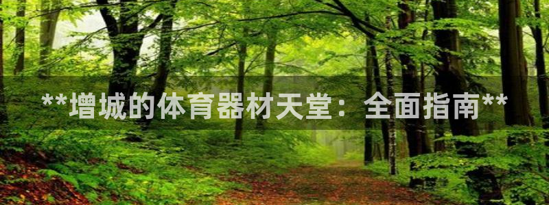 欧陆平台代理怎么做：**增城的体育器材天堂：全面指南