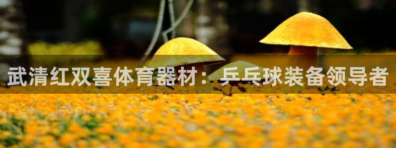 欧陆成语：武清红双喜体育器材：乒乓球装备领导者