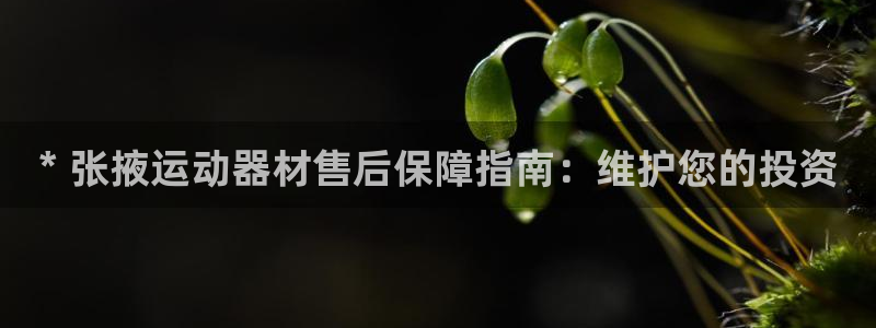 欧陆挑战第三关怎么打：* 张掖运动器材售后保障指南：