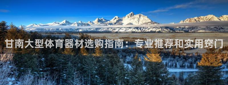 欧陆娱乐返点多少钱：甘南大型体育器材选购指南：专业推