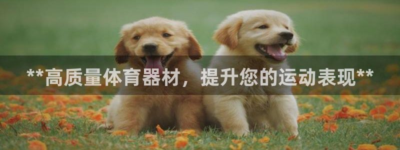 欧陆集团董事长抖音是谁：**高质量体育器材，提升您的