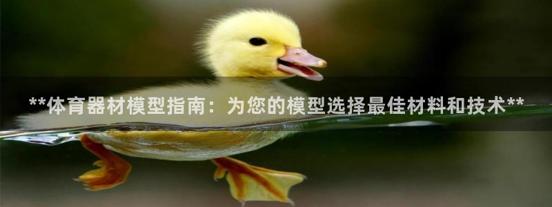 欧陆平台告7O777：**体育器材模型指南：为您的模