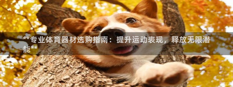 欧陆娱乐登录注册：**专业体育器材选购指南：提升运动