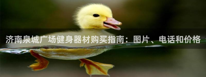 欧陆娱乐官网首页登录不了：济南泉城广场健身器材购买指