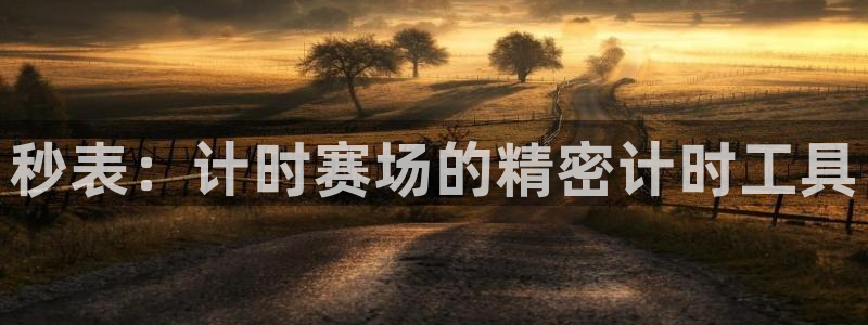欧陆娱乐是什么平台：秒表：计时赛场的精密计时工具