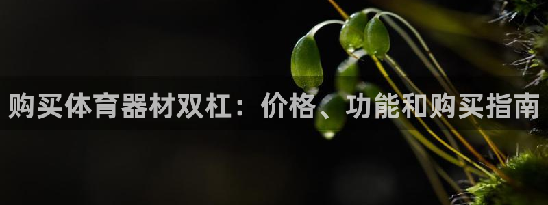 欧陆平台招商：购买体育器材双杠：价格、功能和购买指南