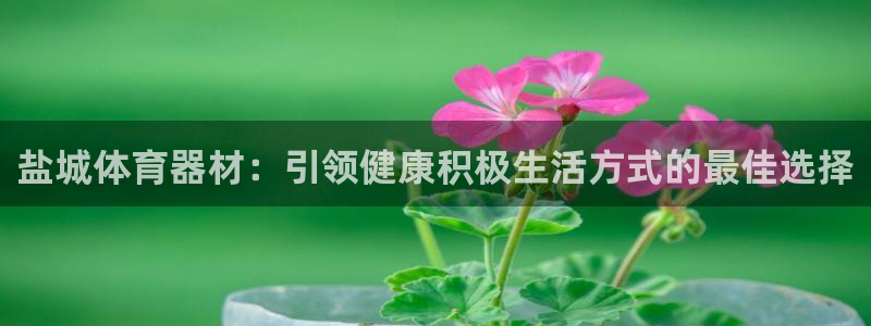 欧陆娱乐安全吗：盐城体育器材：引领健康积极生活方式的