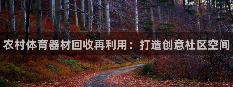 欧陆集团罗文斌：农村体育器材回收再利用：打造创意社区
