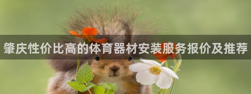 欧陆娱乐如何登录平台账号：肇庆性价比高的体育器材安装