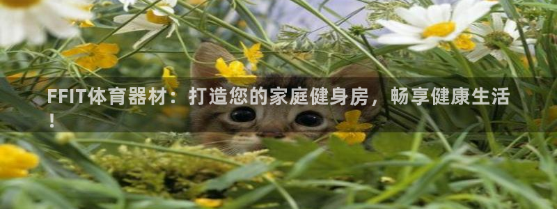 欧陆三国官网：FFIT体育器材：打造您的家庭健身房，