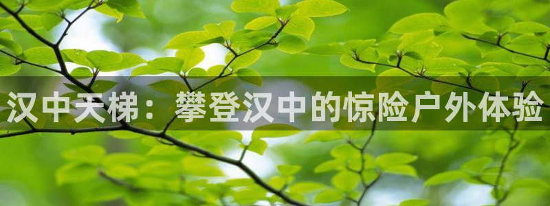 欧陆集团是什么电影院：汉中天梯：攀登汉中的惊险户外体