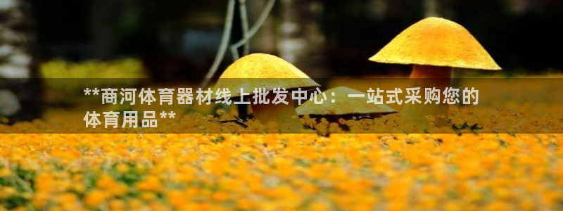 欧陆登场的意思：**商河体育器材线上批发中心：一站式