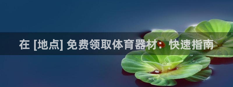 欧陆娱乐平台官网登录入口网址：在 [地点] 免费领取