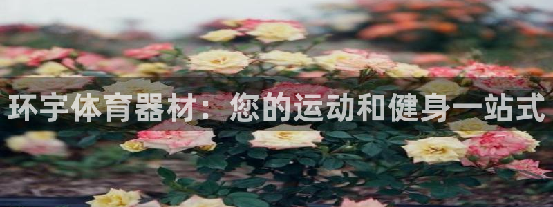 欧陆娱乐出款快吗是真的吗：环宇体育器材：您的运动和健