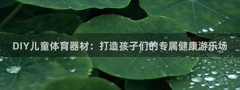 欧陆平台总代理：DIY儿童体育器材：打造孩子们的专属健康游乐