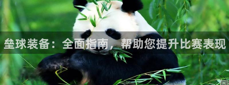 欧陆娱乐提现失败原因：垒球装备：全面指南，帮助您提升