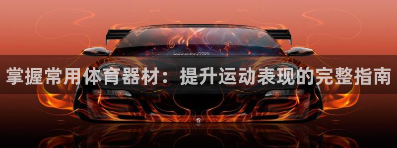 哪吒s欧陆版价格：掌握常用体育器材：提升运动表现的完