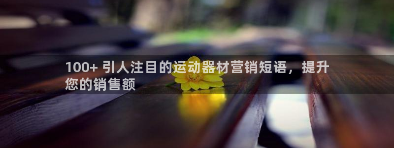 欧陆平台开户要求是什么：100+ 引人注目的运动器材