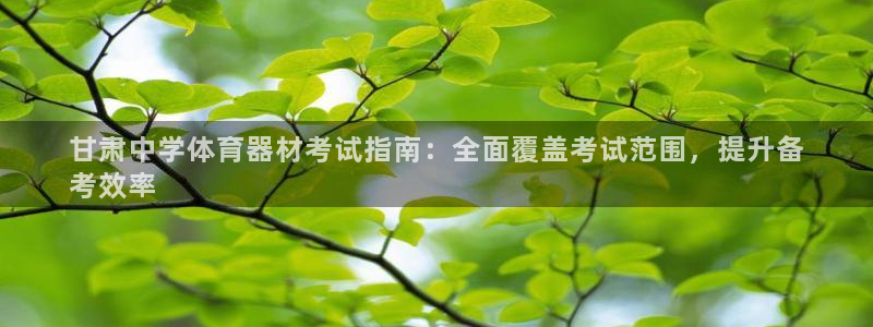 欧陆盛典下载：甘肃中学体育器材考试指南：全面覆盖考试范围，提